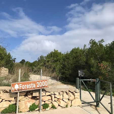 White Sands Mellieħa Eksteriør billede